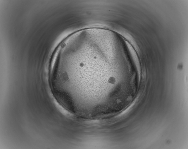 X0000097611054200803141935