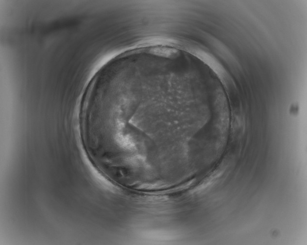 X0000097611055200803141935