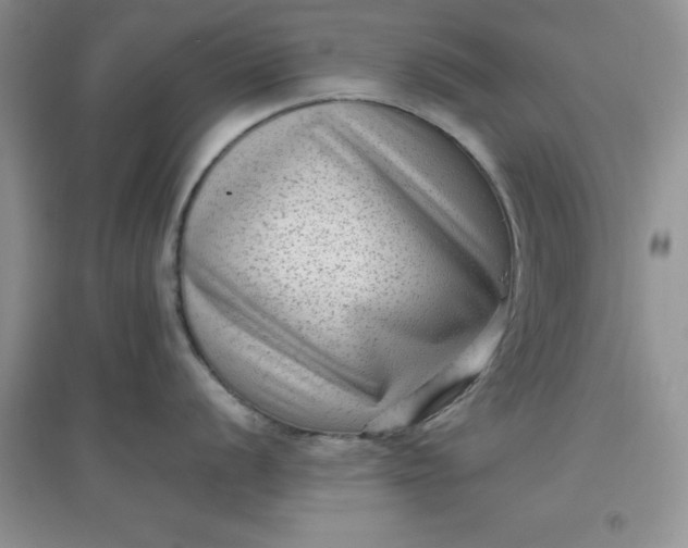 X0000097611056200803141935