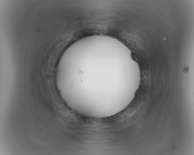 X0000097611057200803141934