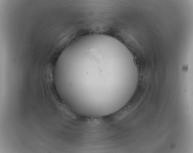 X0000097611058200803141934