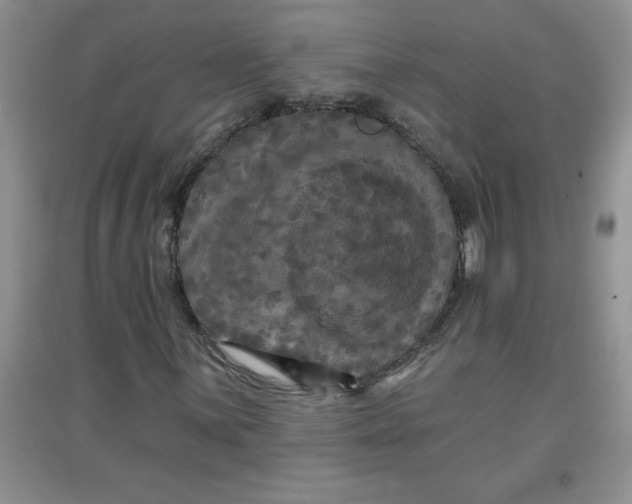 X0000097611059200803141934