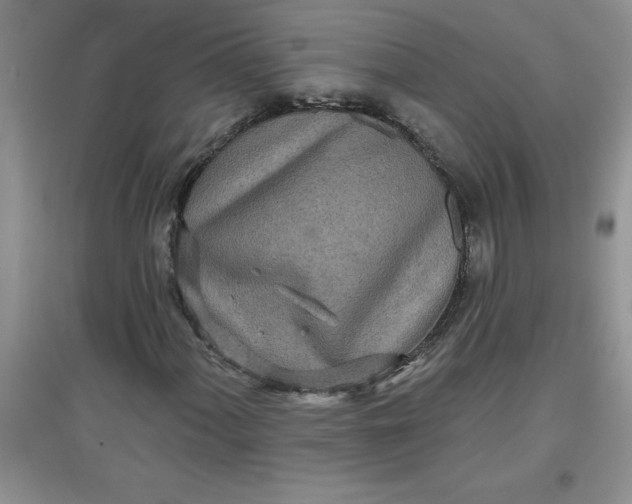 X0000097611060200803141934