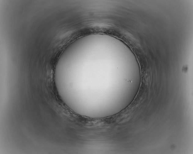 X0000097611061200803141934