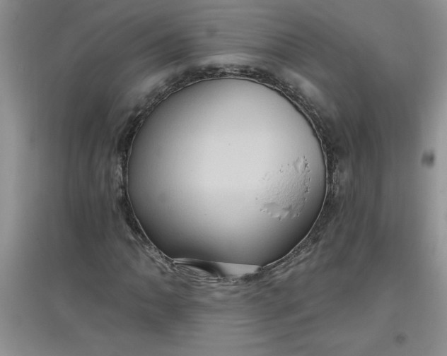 X0000097611062200803141934