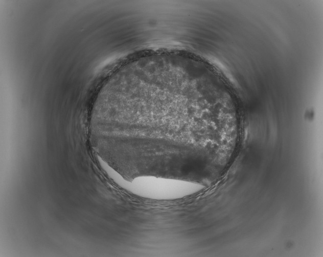 X0000097611063200803141934