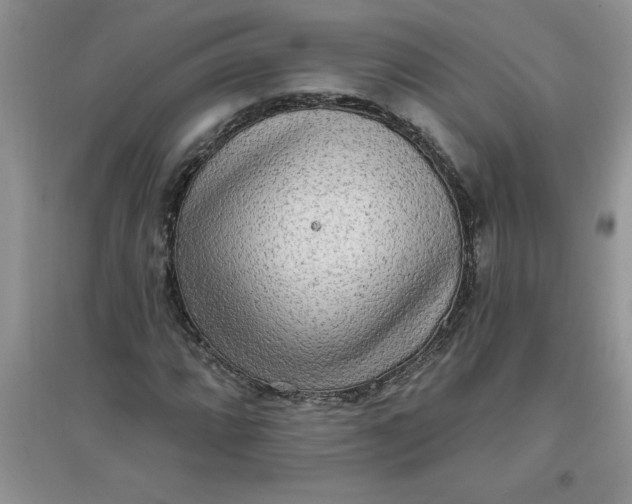 X0000097611064200803141934