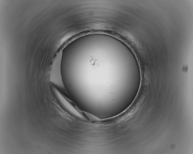 X0000097611065200803141934