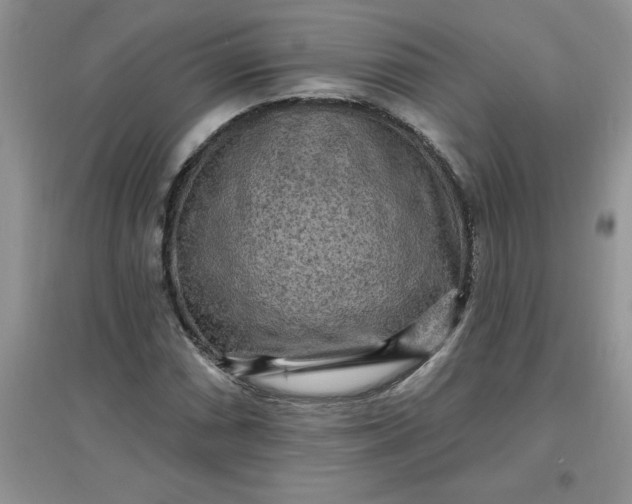 X0000097611066200803141934