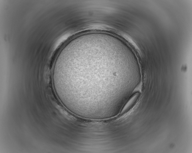 X0000097611067200803141934