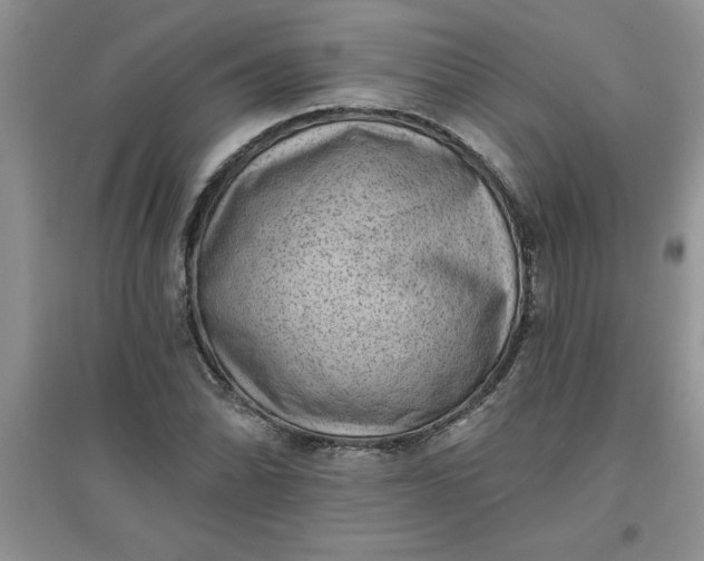 X0000097611070200803141934