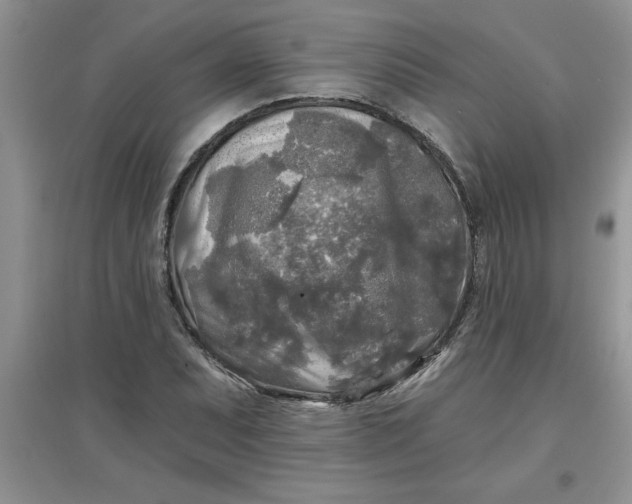 X0000097611071200803141934