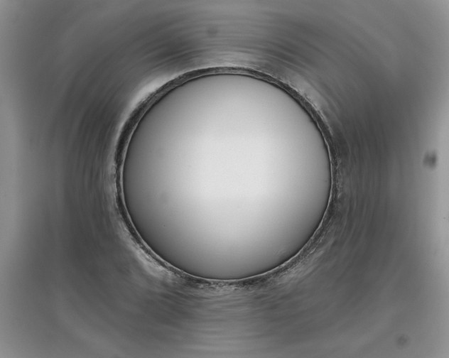 X0000097611072200803141934