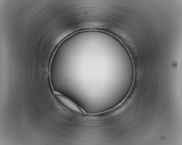 X0000097611073200803141934