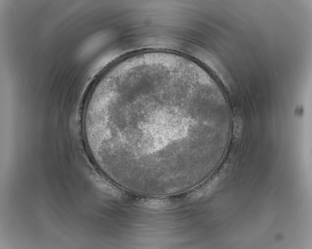 X0000097611074200803141934