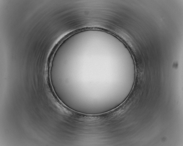 X0000097611076200803141934