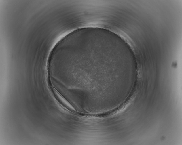 X0000097611077200803141934