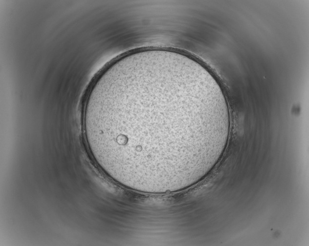 X0000097611078200803141934