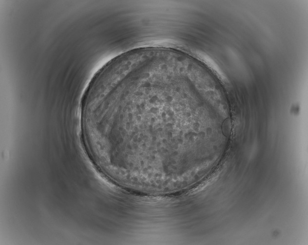 X0000097611079200803141934