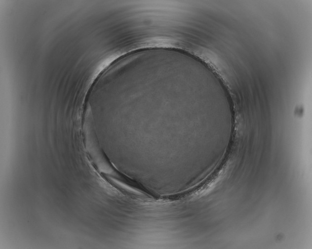 X0000097611081200803141934