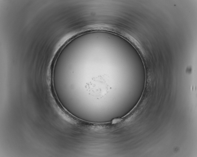 X0000097611082200803141934