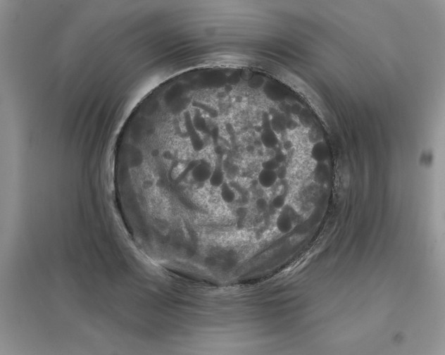 X0000097611083200803141934