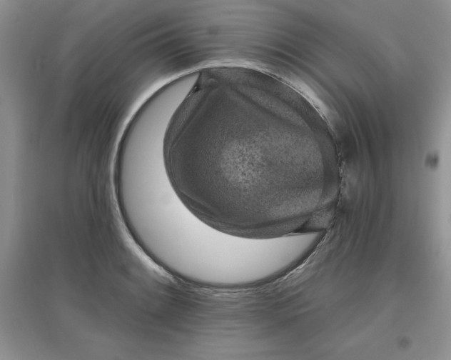 X0000097611084200803141934