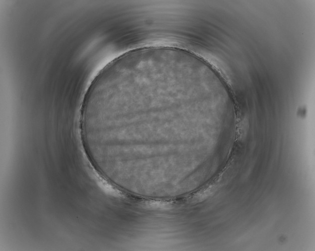 X0000097611086200803141934