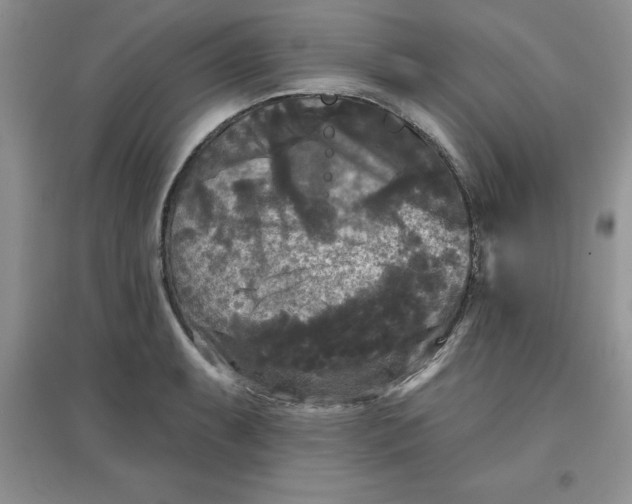 X0000097611087200803141934