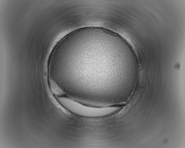 X0000097611088200803141934