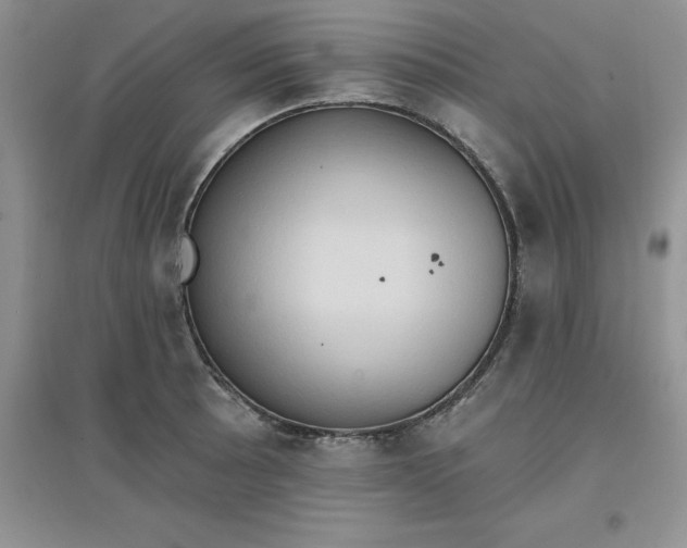 X0000097611089200803141934