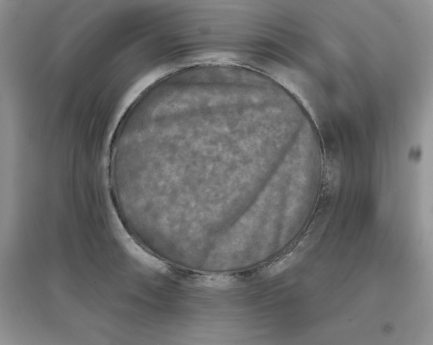 X0000097611090200803141934