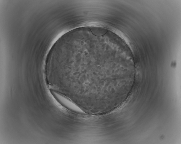 X0000097611091200803141934