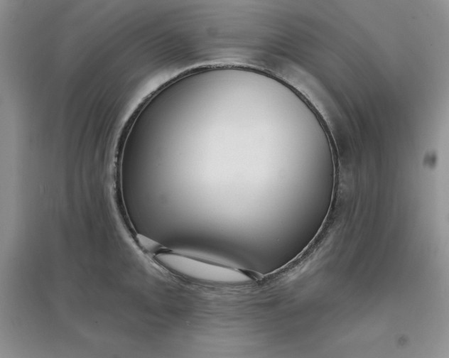 X0000097611093200803141934