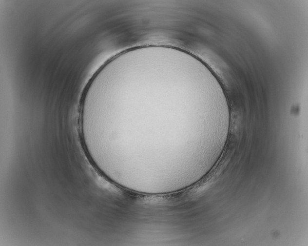 X0000097611094200803141934