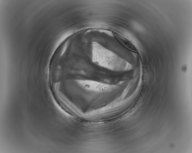 X0000097611095200803141933