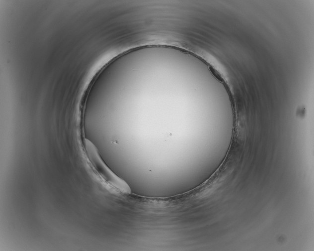 X0000097611096200803141933