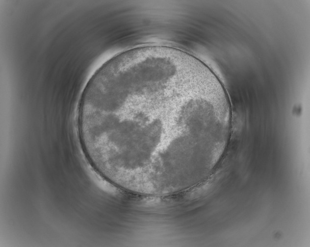 X0000097611098200803141933