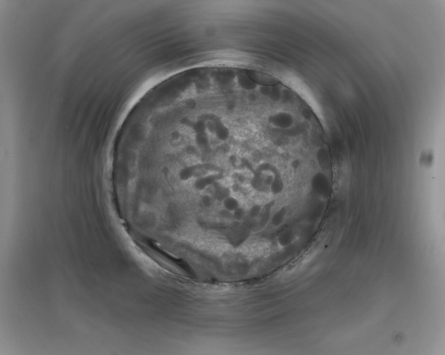 X0000097611099200803141933