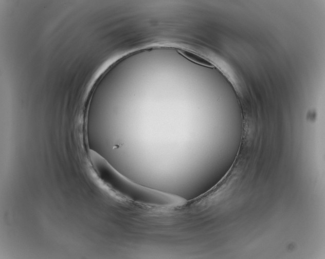 X0000097611100200803141933