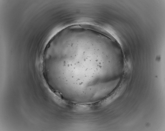 X0000097611101200803141933