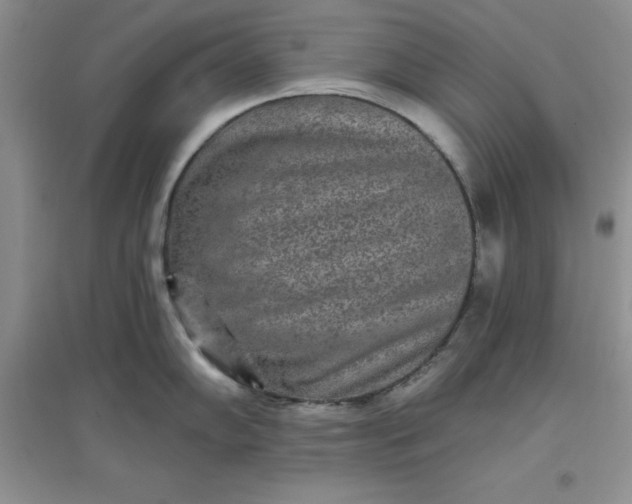 X0000097611102200803141933