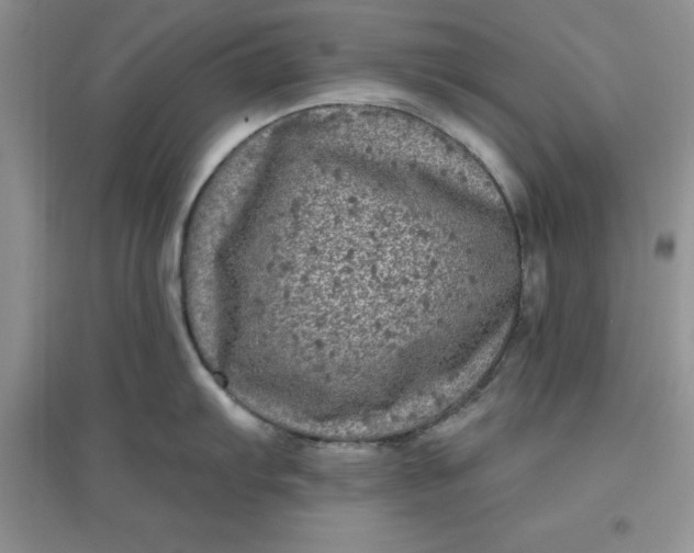 X0000097611103200803141933