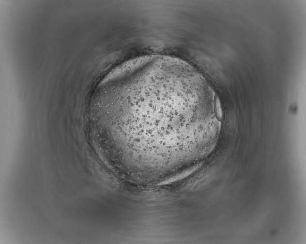 X0000097611105200803141933