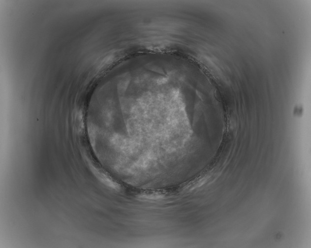 X0000097611106200803141933