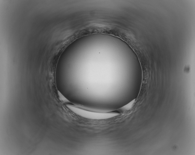 X0000097611109200803141933