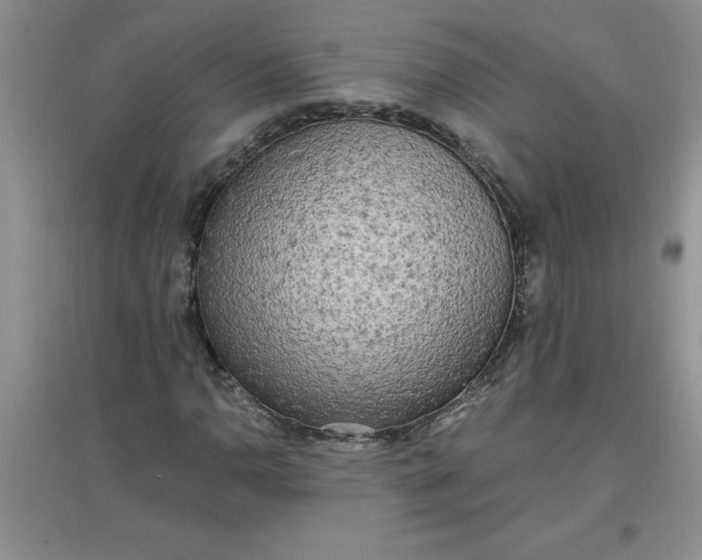 X0000097611110200803141933