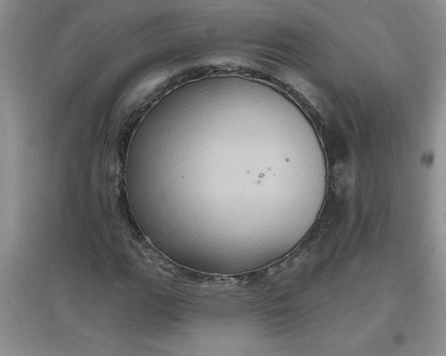 X0000097611111200803141933