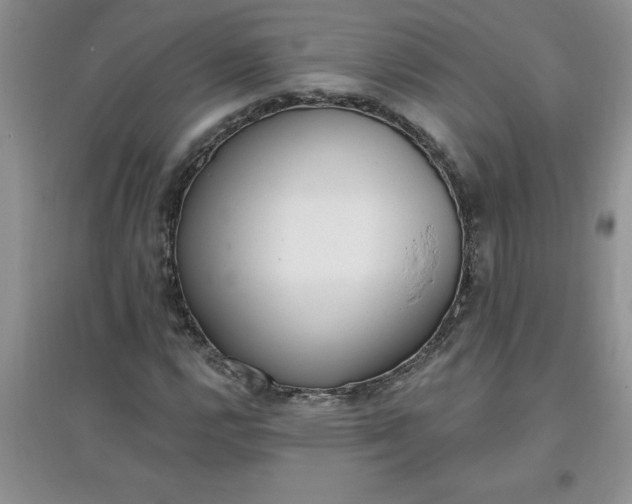 X0000097611112200803141933