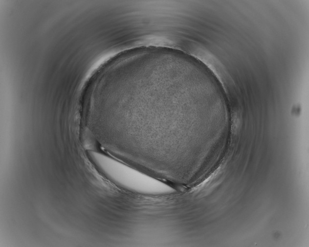 X0000097611115200803141933